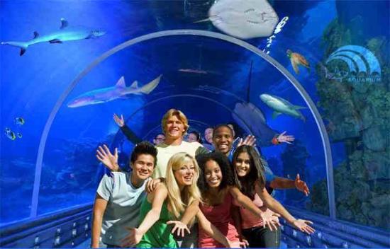 Hurghada Grand Aquarium